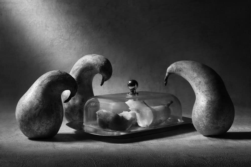 Curious Pears Still Life by Victoria  Glinka — canvas wall art