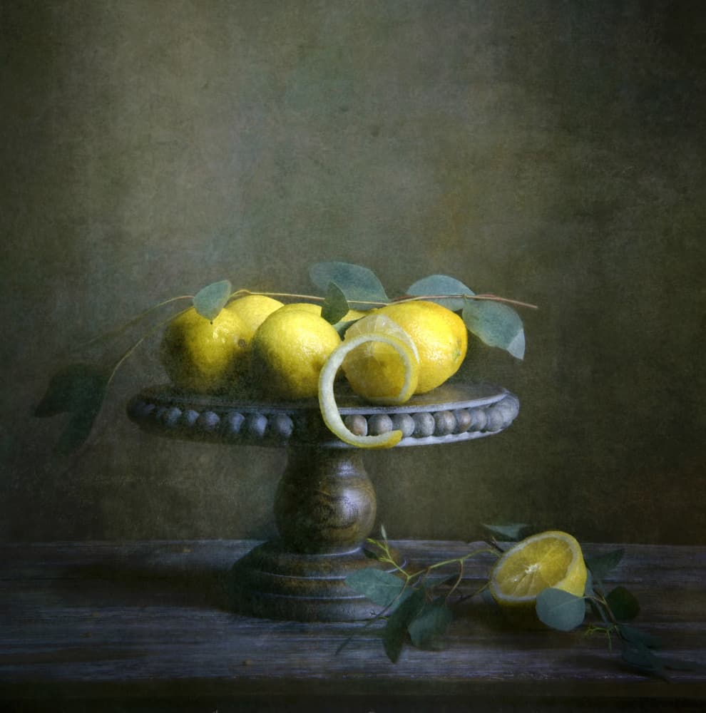 Moody Lemon Still Life by Catherine Wang — canvas wall art