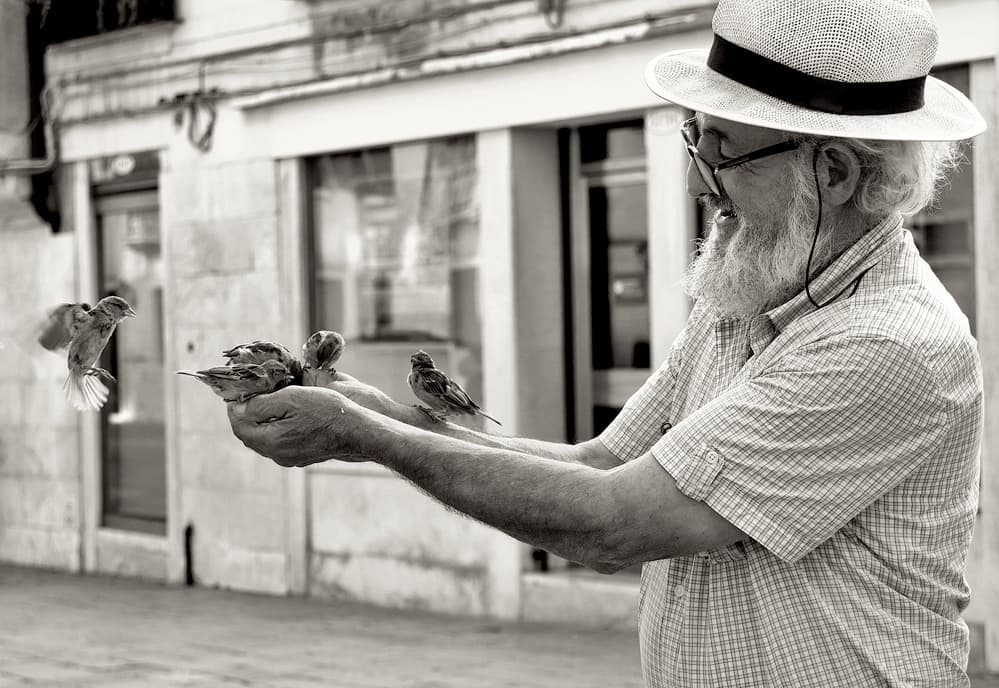 Man Feeds Sparrows by Izabella Végh — canvas wall art