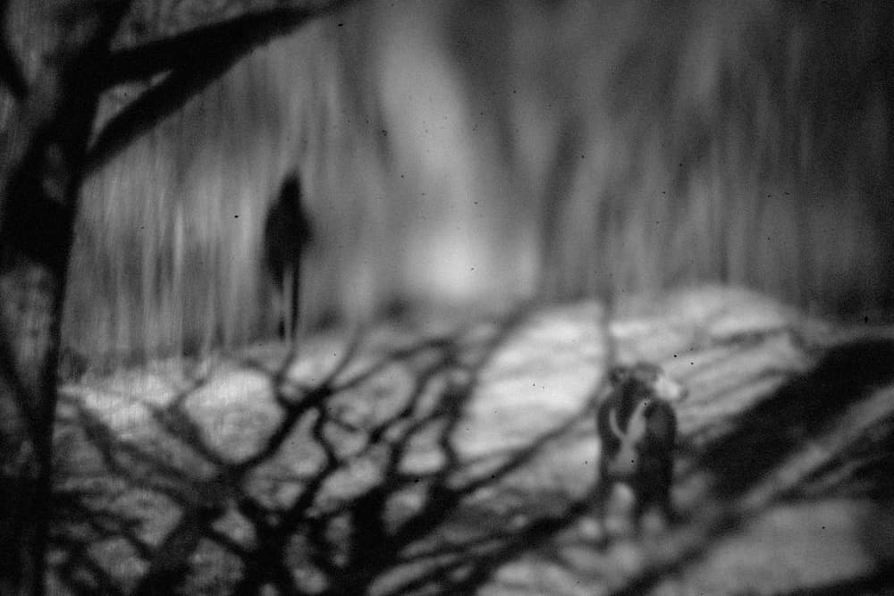Mysterious Forest Figures by Teruhiko Tsuchida — canvas wall art