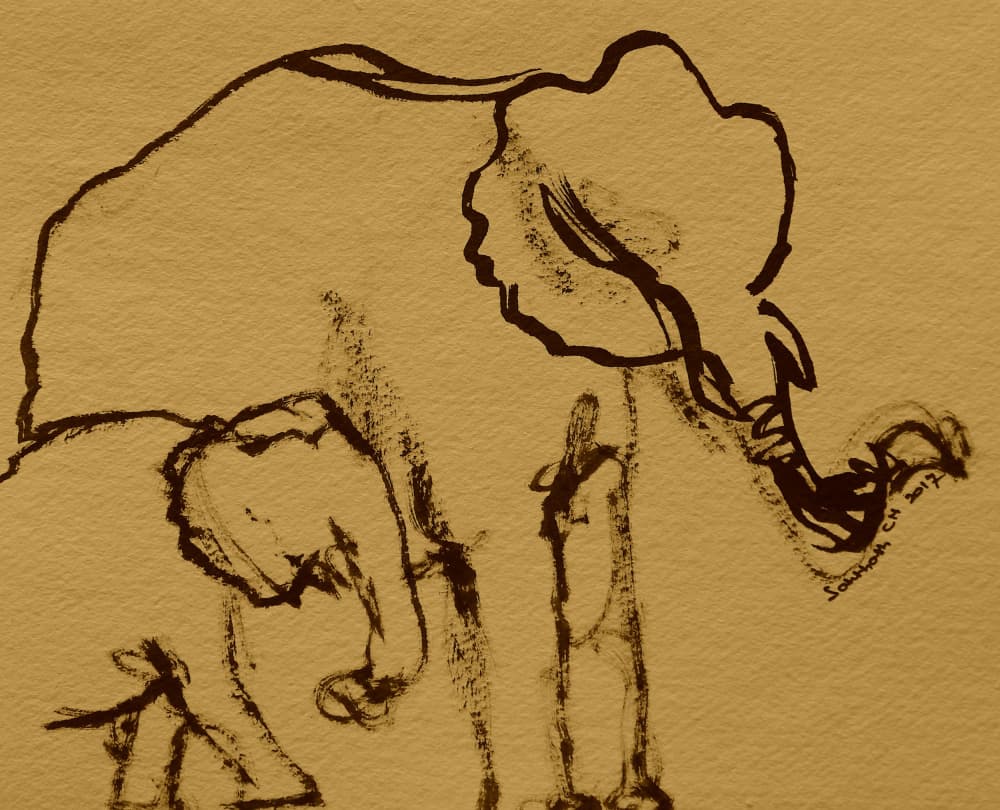Elephant Mother and Calf by Santhosh ch — canvas wall art