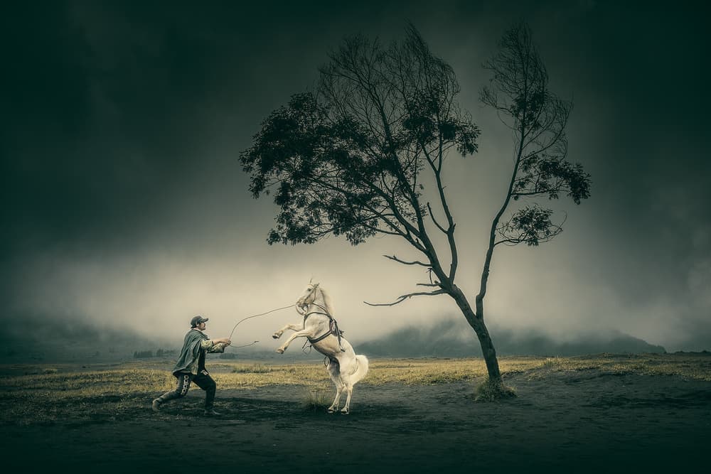 Man and Rearing White Horse by Bingo Z — canvas wall art