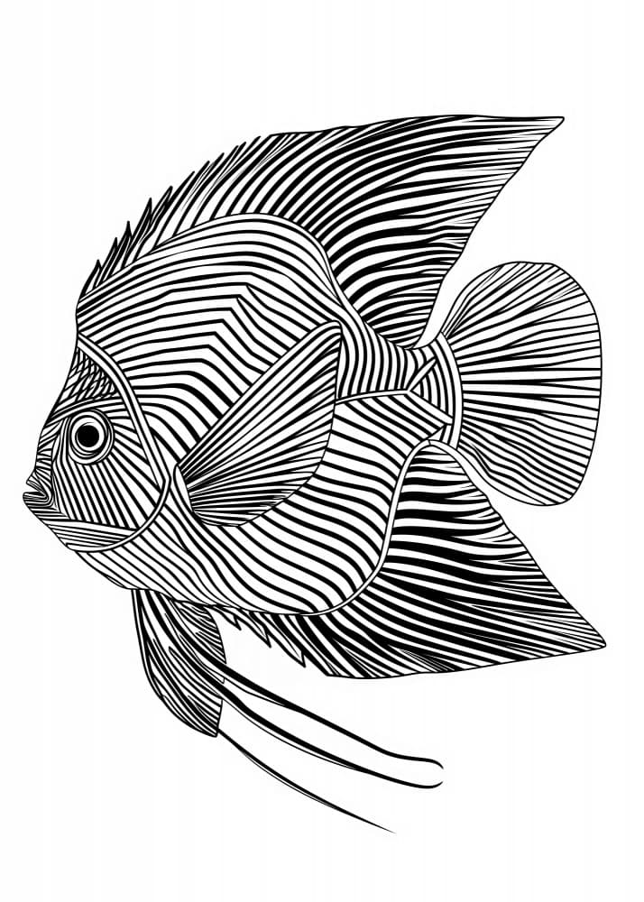 Striking Patterned Fish by Justyna Jaszke — canvas wall art