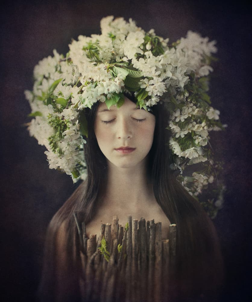 Serene Blossom Dream by Svetlana Bekyarova — canvas wall art