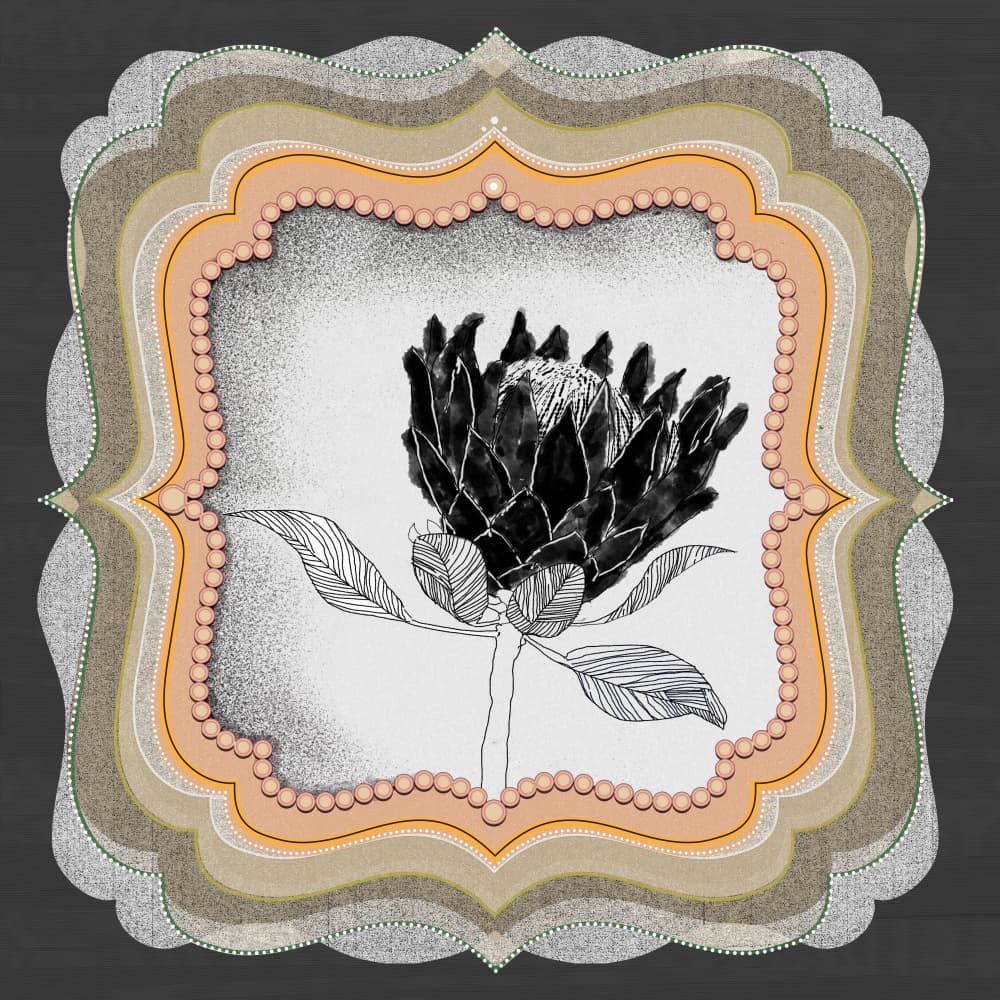 Elegant Protea Bloom by XHOZUCAN — canvas wall art