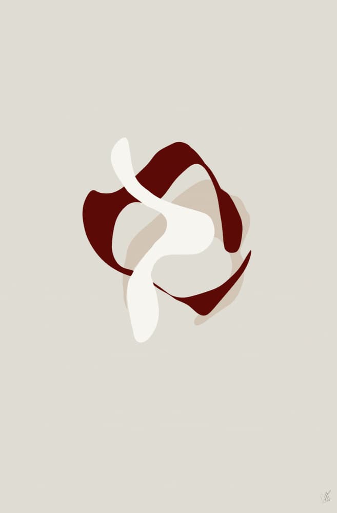 Elegant Fluid Forms by Anne-Marie Volfova — canvas wall art