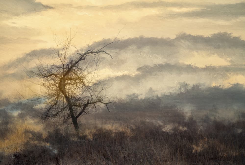 Ethereal Golden Mist by Ria Groot Zevert — canvas wall art