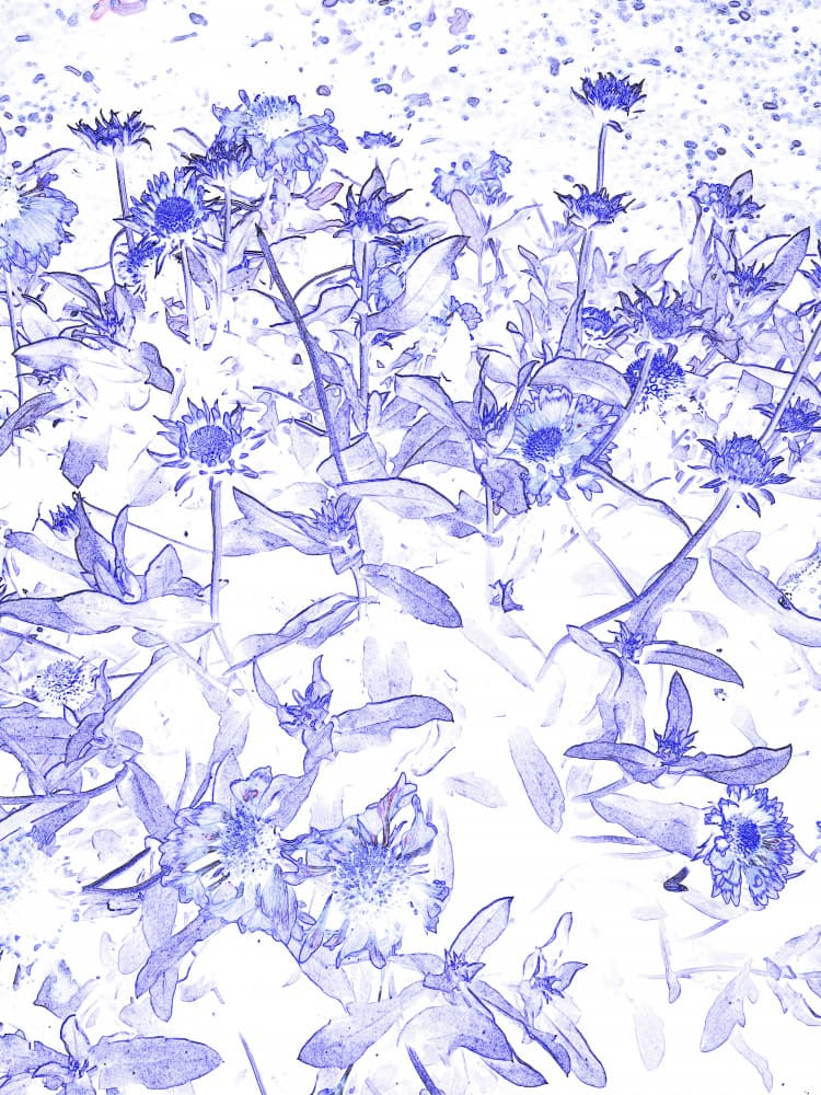 Sketched Blue Garden by Santhosh ch — canvas wall art