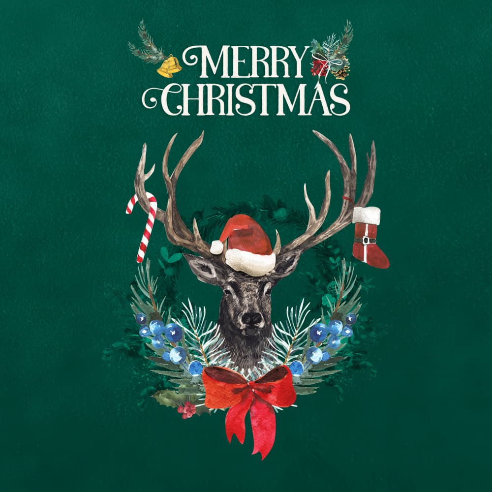 Holiday Stag Cheer by Emel Tunaboylu — canvas wall art