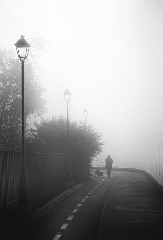 Foggy Morning Walk by Miodrag Kosanovic — canvas wall art