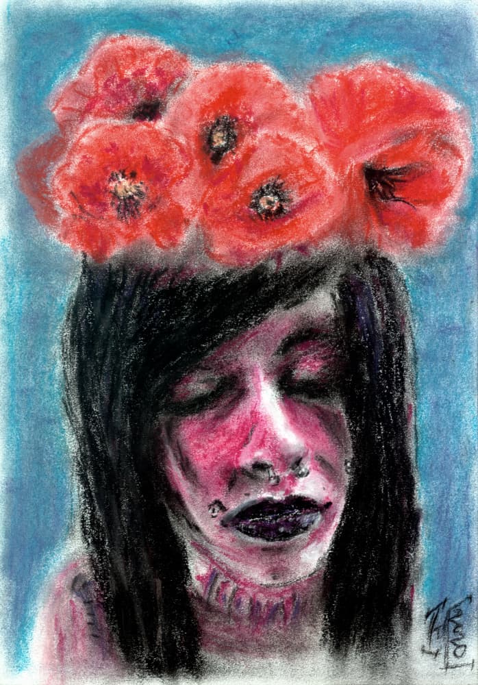 Red Poppies Dreamer by Tim Hoinkis — canvas wall art