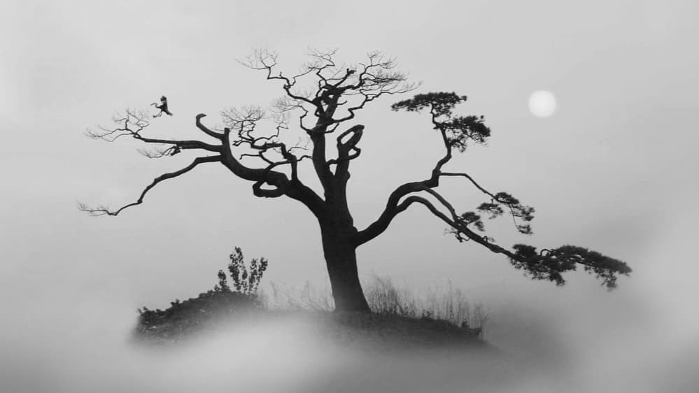 Misty Tree Solitary Climber by Shin Woo Ryu — canvas wall art