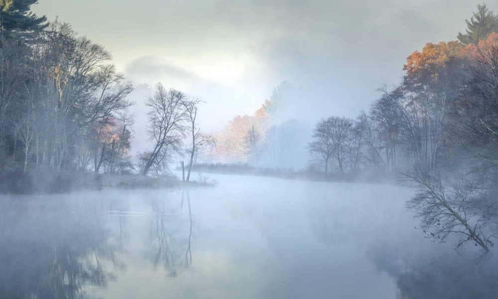Misty Morning Lake by Kai Dan — canvas wall art