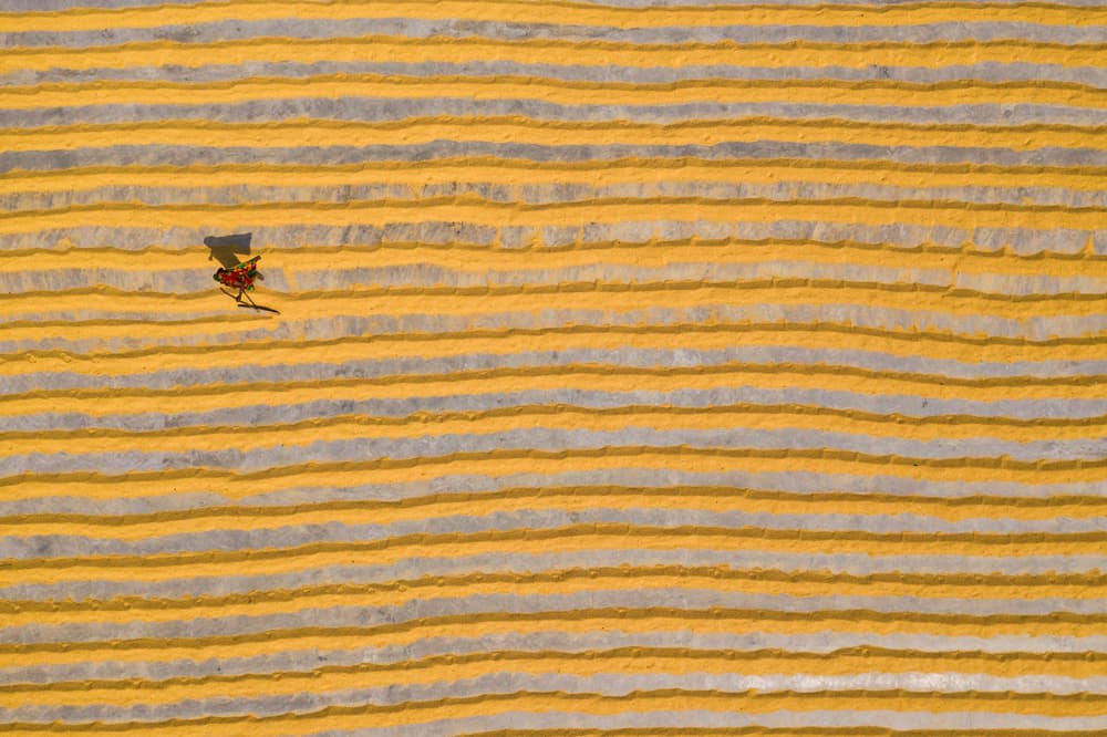 Worker In Golden Rows by Azim Khan Ronnie — canvas wall art