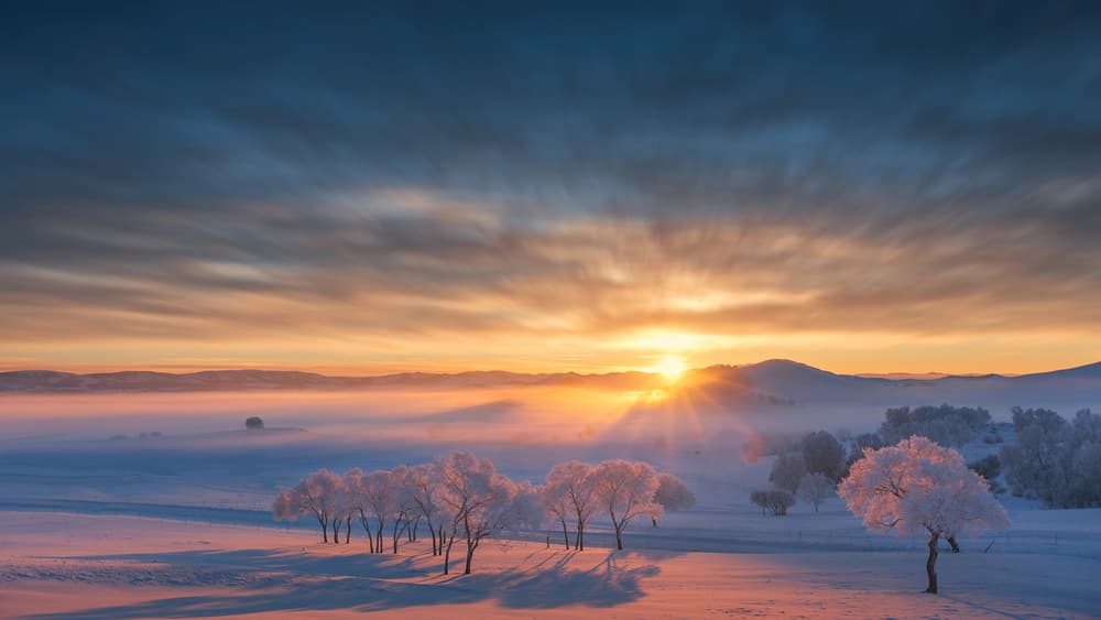 Misty Winter Sunrise by Bingo Z — canvas wall art