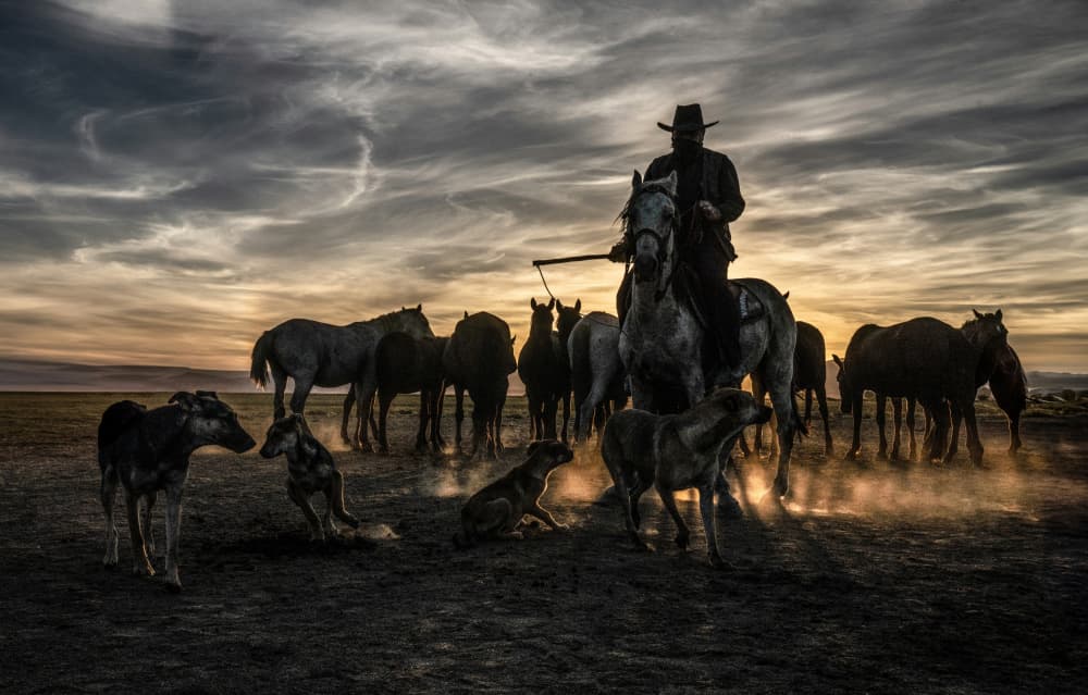 Cowboy Herding Horses Dusk by Corinne Spector — canvas wall art