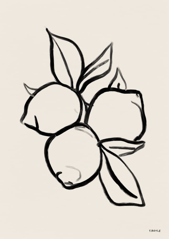 Fresh Lemon Line Art by Tara Royle — canvas wall art
