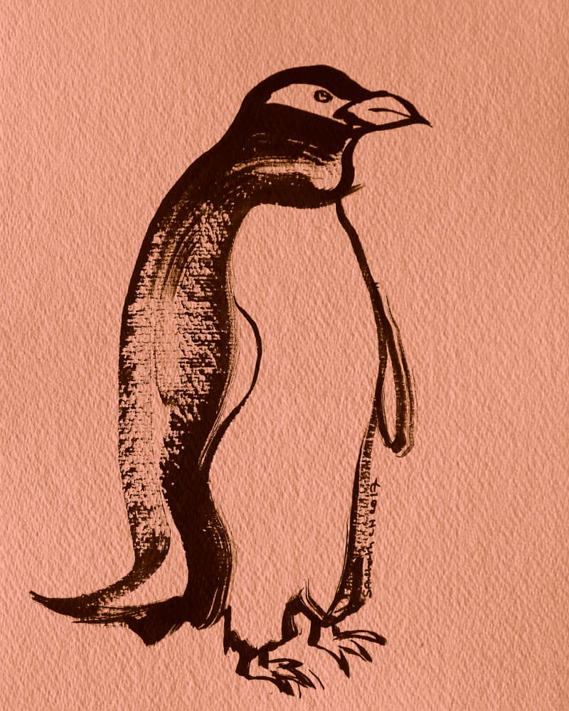 Elegant Ink Penguin by Santhosh ch — canvas wall art