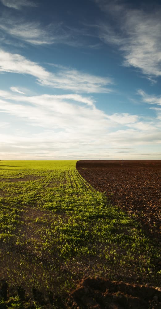 Green Field Brown Earth by Javier Pardina — canvas wall art