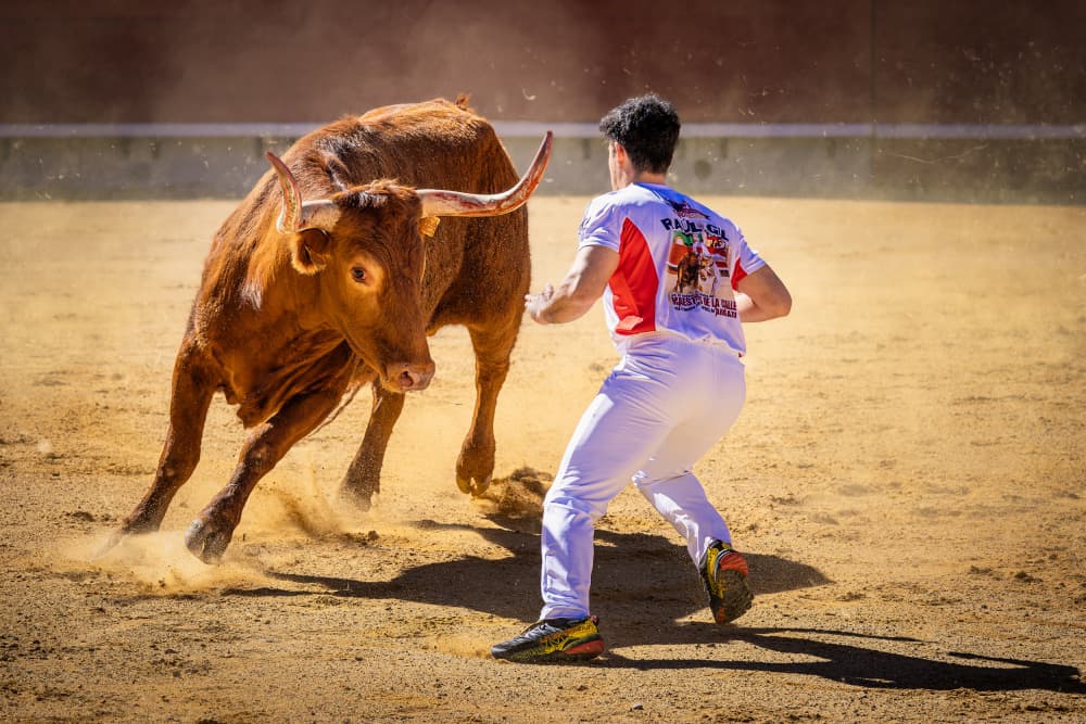 Daring Bull Challenge by Gustavo Ribes — canvas wall art