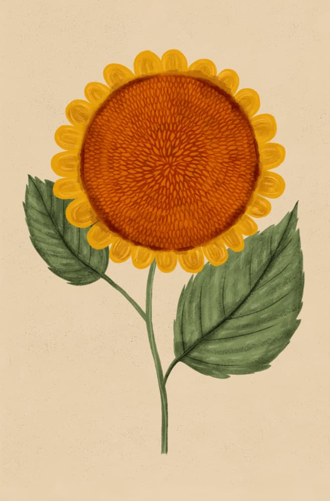 Sunny Sunflower Bloom by EMELIEmaria — canvas wall art