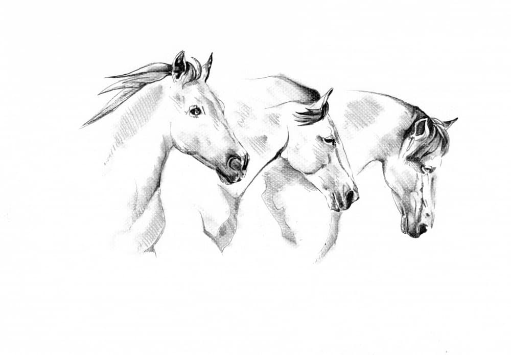 Three Spirited Horses by Kulik — canvas wall art