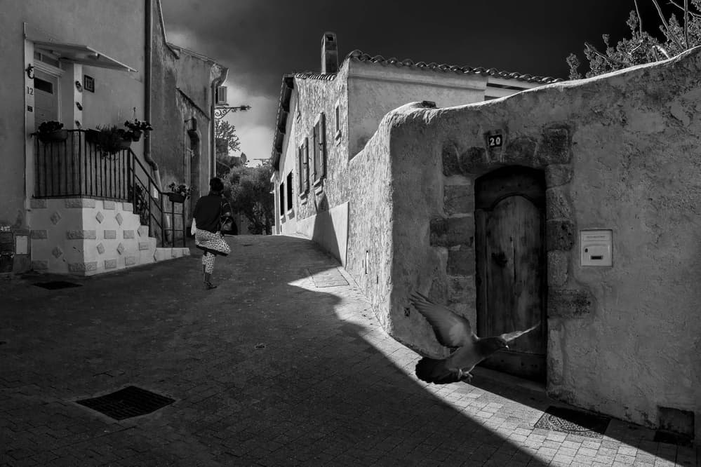 Old Town Pigeon Flight by Thierry Lagandré (Transgressed Light) — canvas wall art