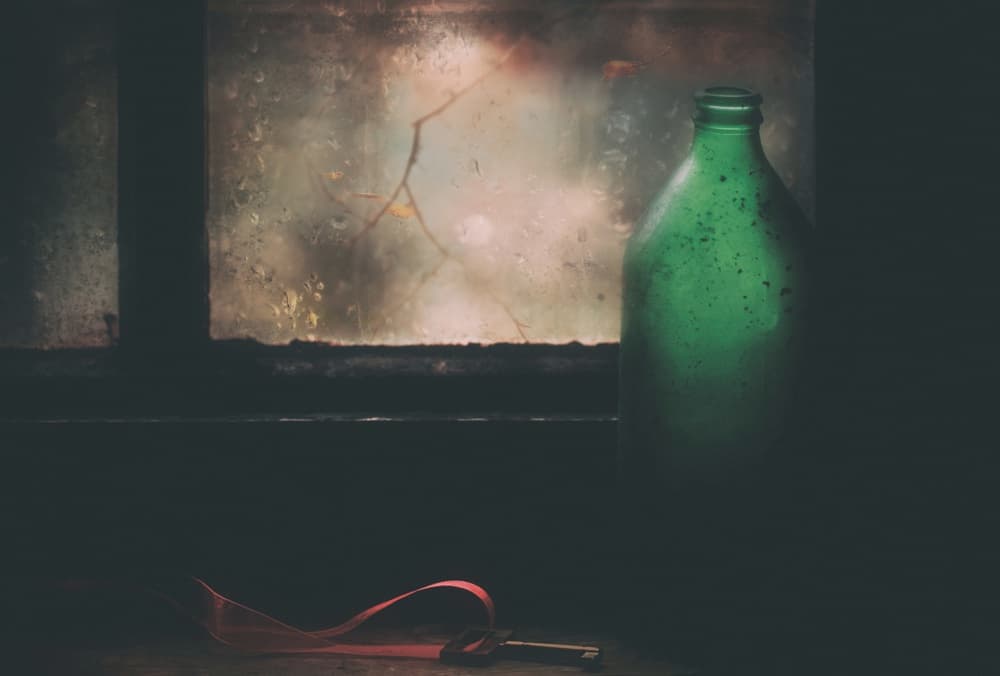 Dim Window Still Life by Delphine Devos — canvas wall art