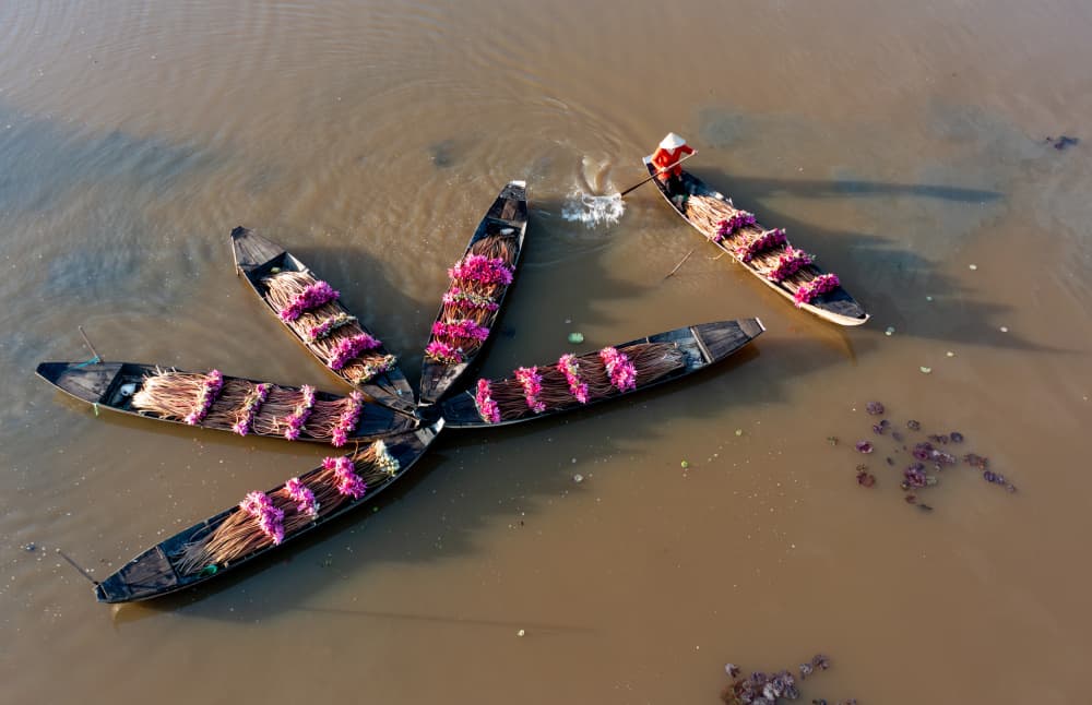 Lotus Flower Boats by Tran Van Truong — canvas wall art