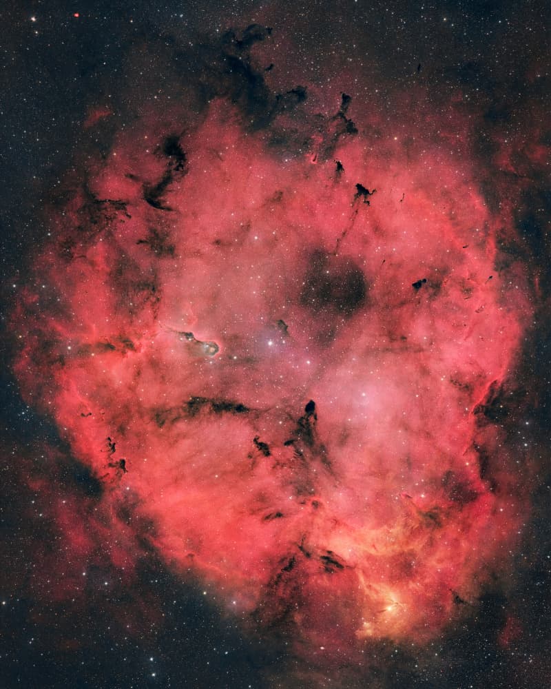 Red Cosmic Nebula by Vikas Chander — canvas wall art