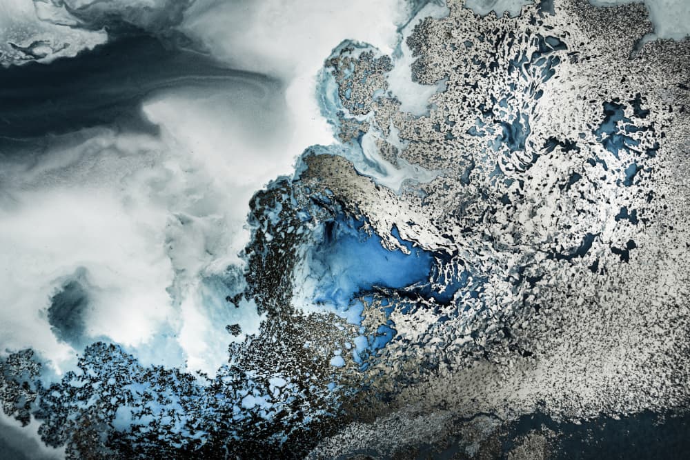 Midnight Reef Tifupscaled Cgi 13287w Copy 2 by Petra Meikle de Vlas — canvas wall art