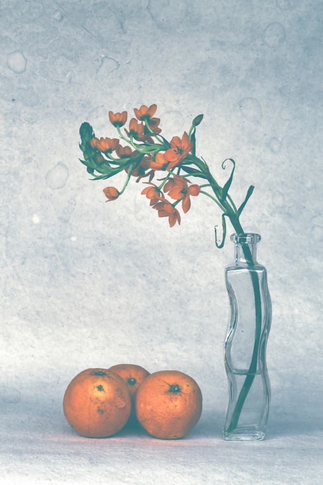 Soft Citrus Still Life by FranzStaab — canvas wall art