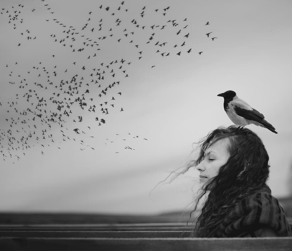 Peaceful Woman with Crow by Tatiana Koshutina — canvas wall art
