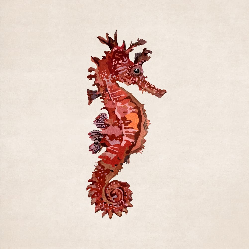 Crimson Seahorse by Emel Tunaboylu — canvas wall art