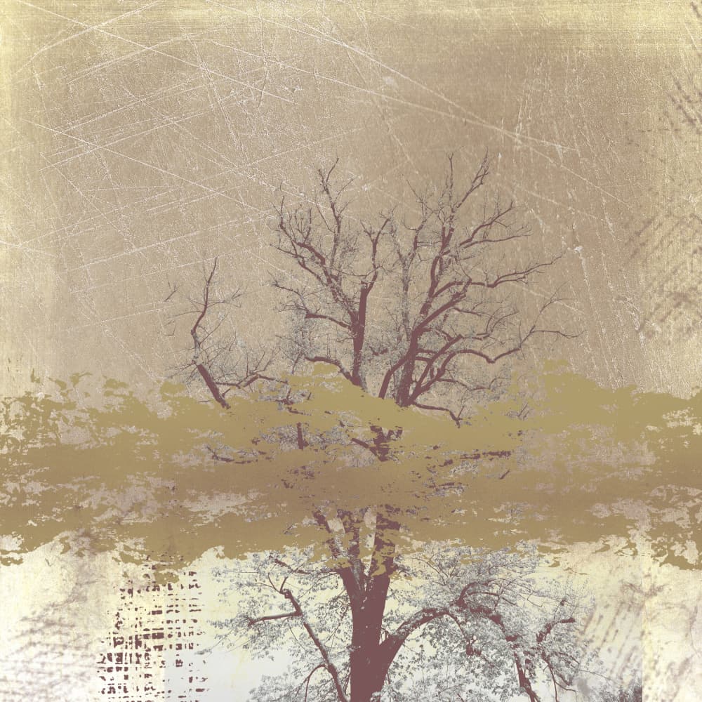 Golden Bare Tree Abstract by Imaginative — canvas wall art
