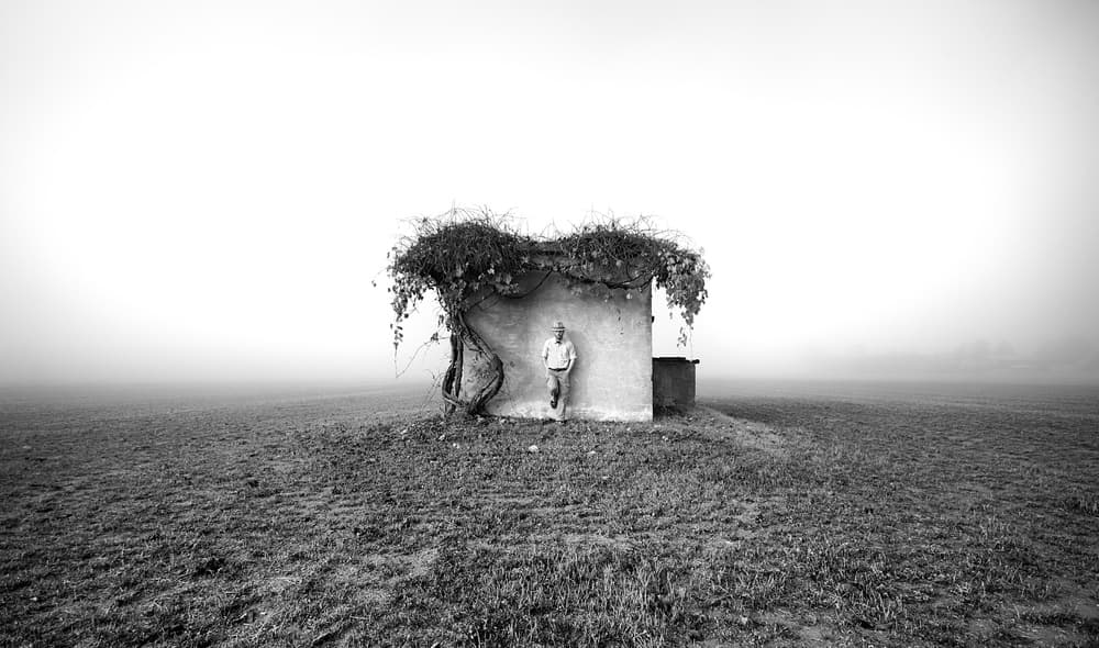 Solitary Figure Misty Field by Carlo Ferrara — canvas wall art