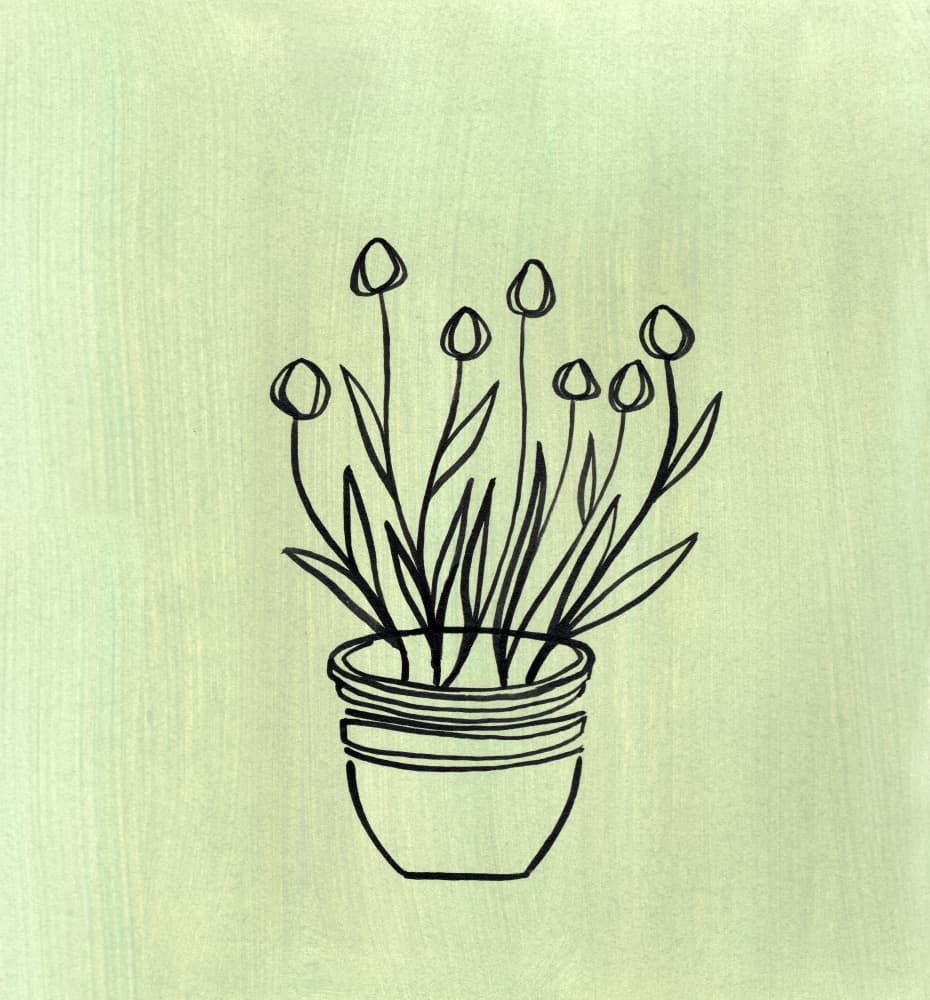 Minimalist Plant Pot by Shelley Hampe — canvas wall art