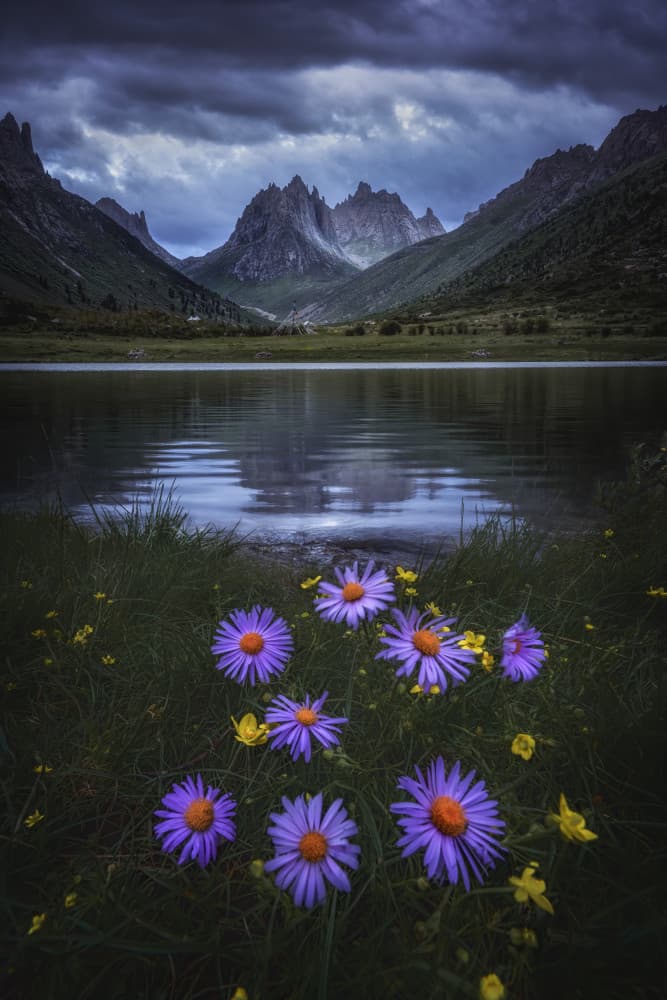 Purple Mountain Lake by Yuan Cui — canvas wall art