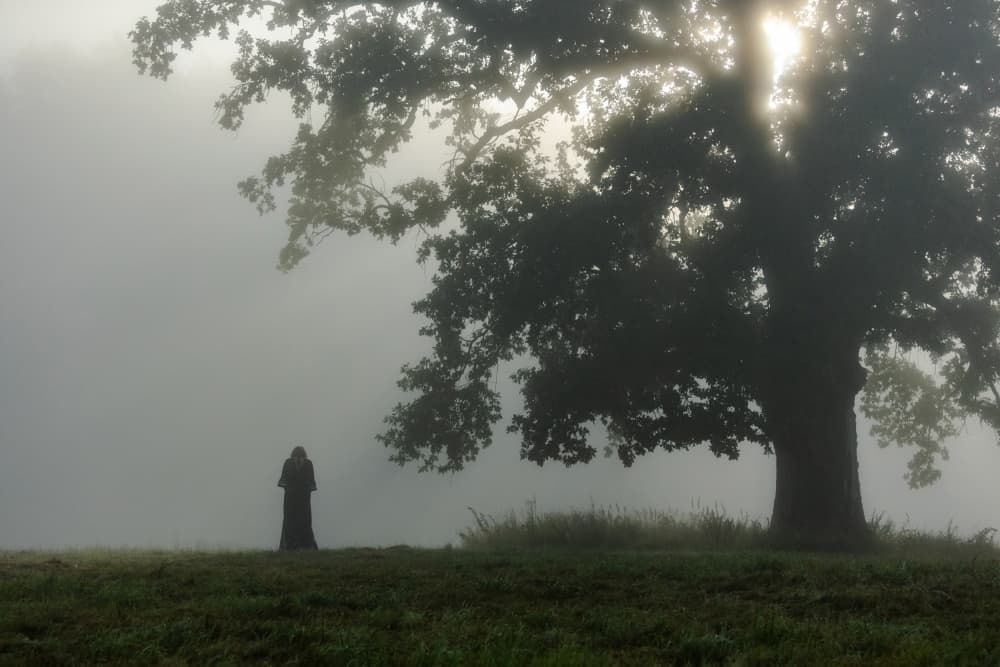 Misty Tree Lone Figure by Leszek Paradowski — canvas wall art