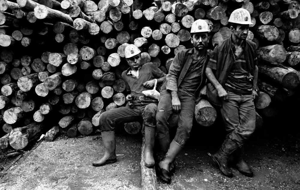 Logging Workers Break by Nurten Öztürk — canvas wall art