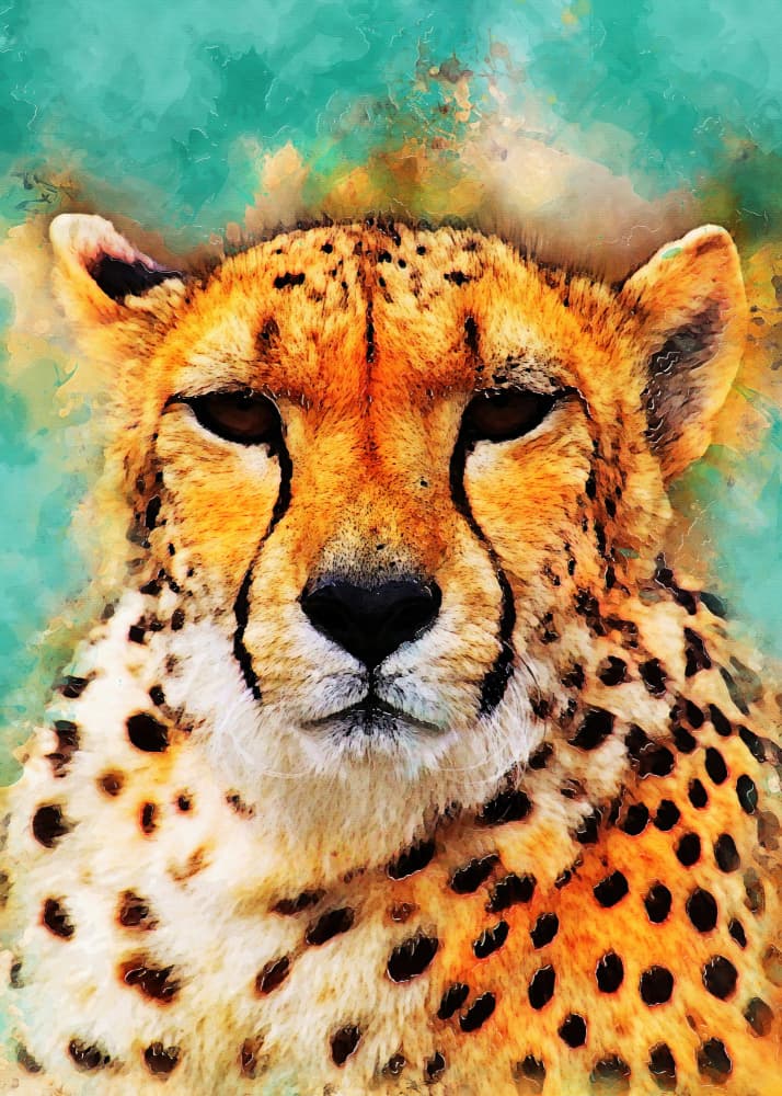 Vibrant Cheetah Portrait by Justyna Jaszke — canvas wall art