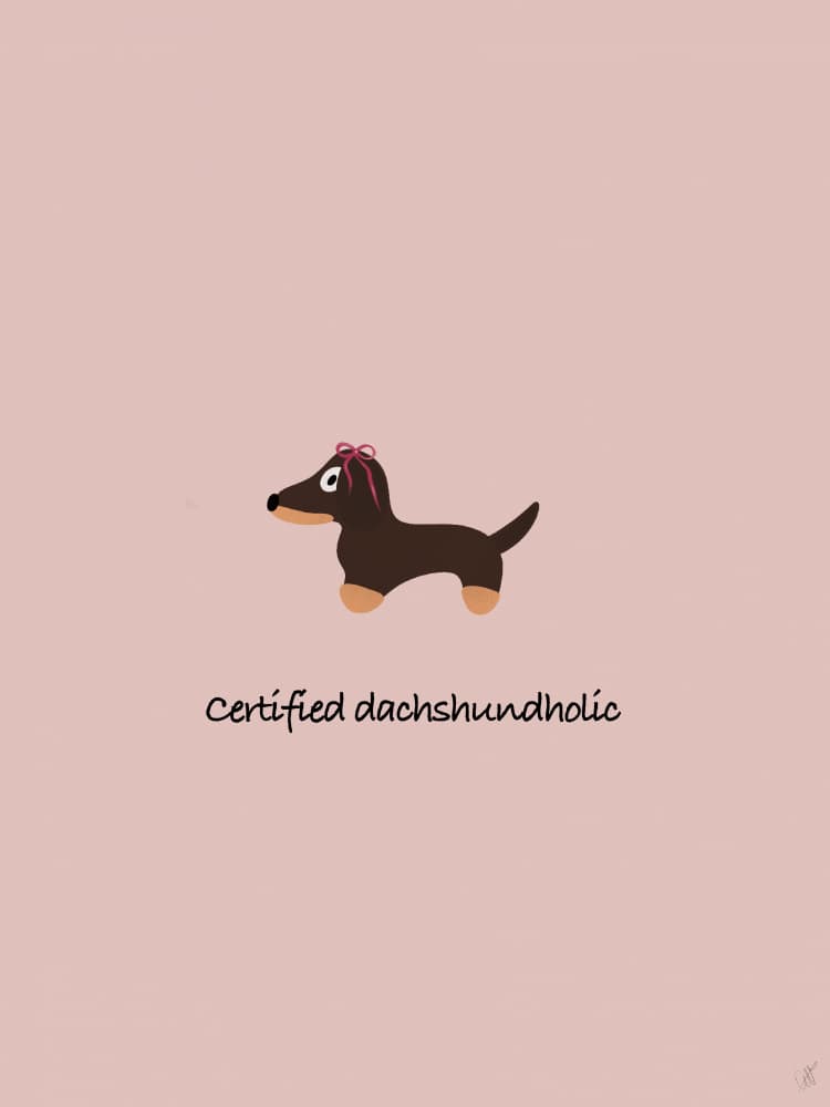 Adorable Dachshund With Bow by Anne-Marie Volfova — canvas wall art