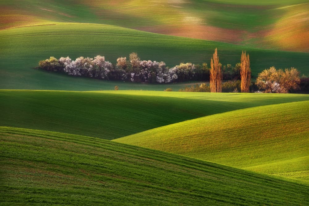 Vibrant Green Rolling Hills by Grzegorz Lewandowski — canvas wall art