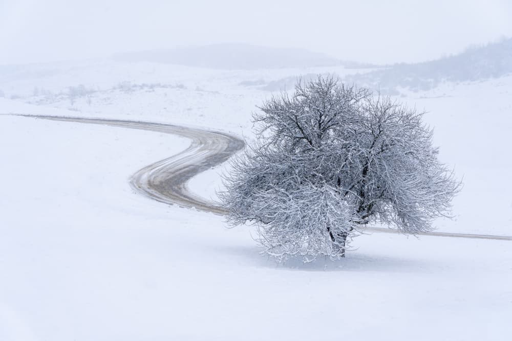 Winding Winter Road by Eduard Andrica — canvas wall art