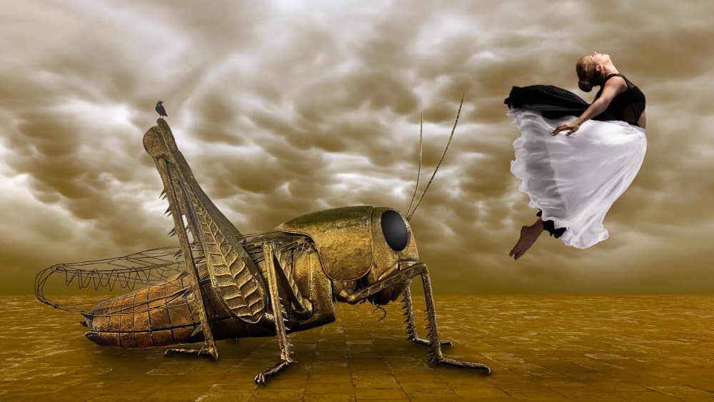 Giant Grasshopper Dance by Harry Bünger — canvas wall art