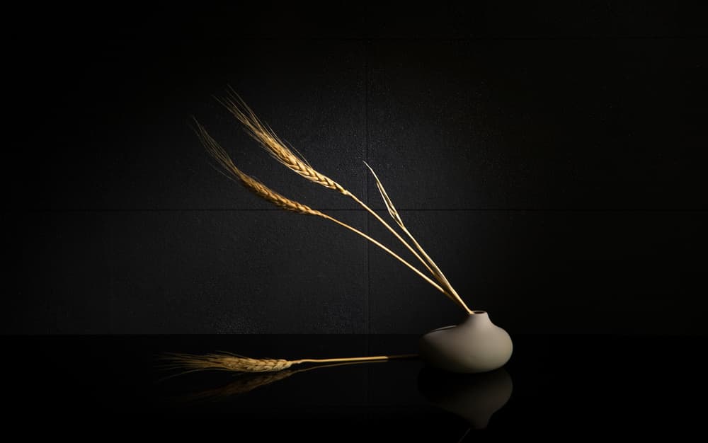 Golden Wheat Still Life by Wendy Xu — canvas wall art