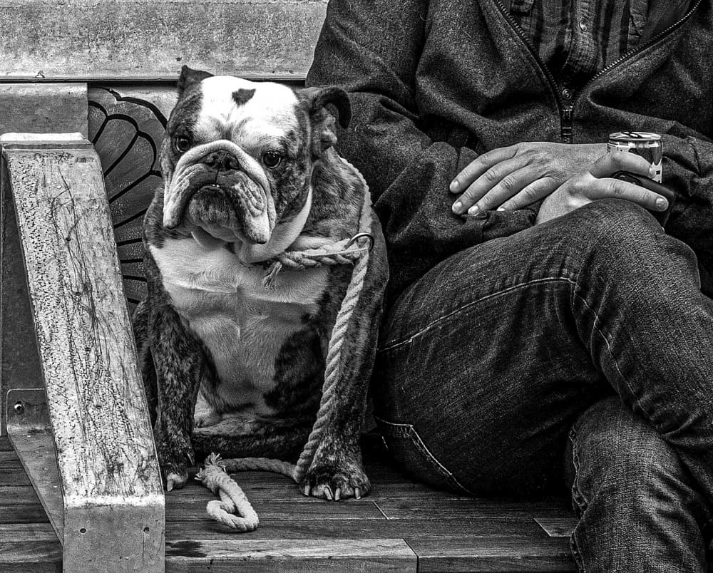 Man and His Bulldog by Leonid Yermoshkin — canvas wall art