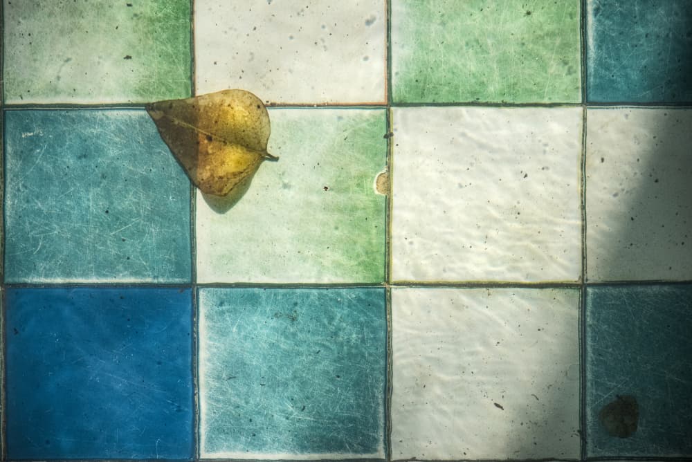 Submerged Leaf Blue Tiles by Linda Wride — canvas wall art
