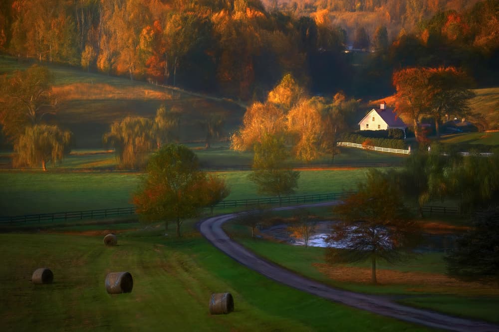 Autumn Farmhouse Morning by Catherine Wang — canvas wall art