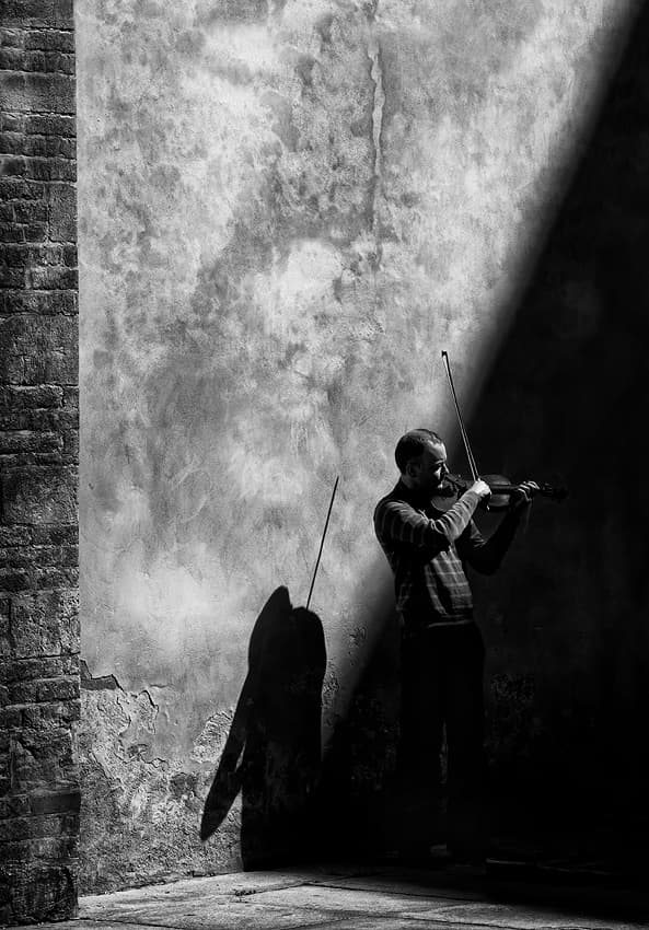 Violinist In Shadow by Mario Mencacci — canvas wall art